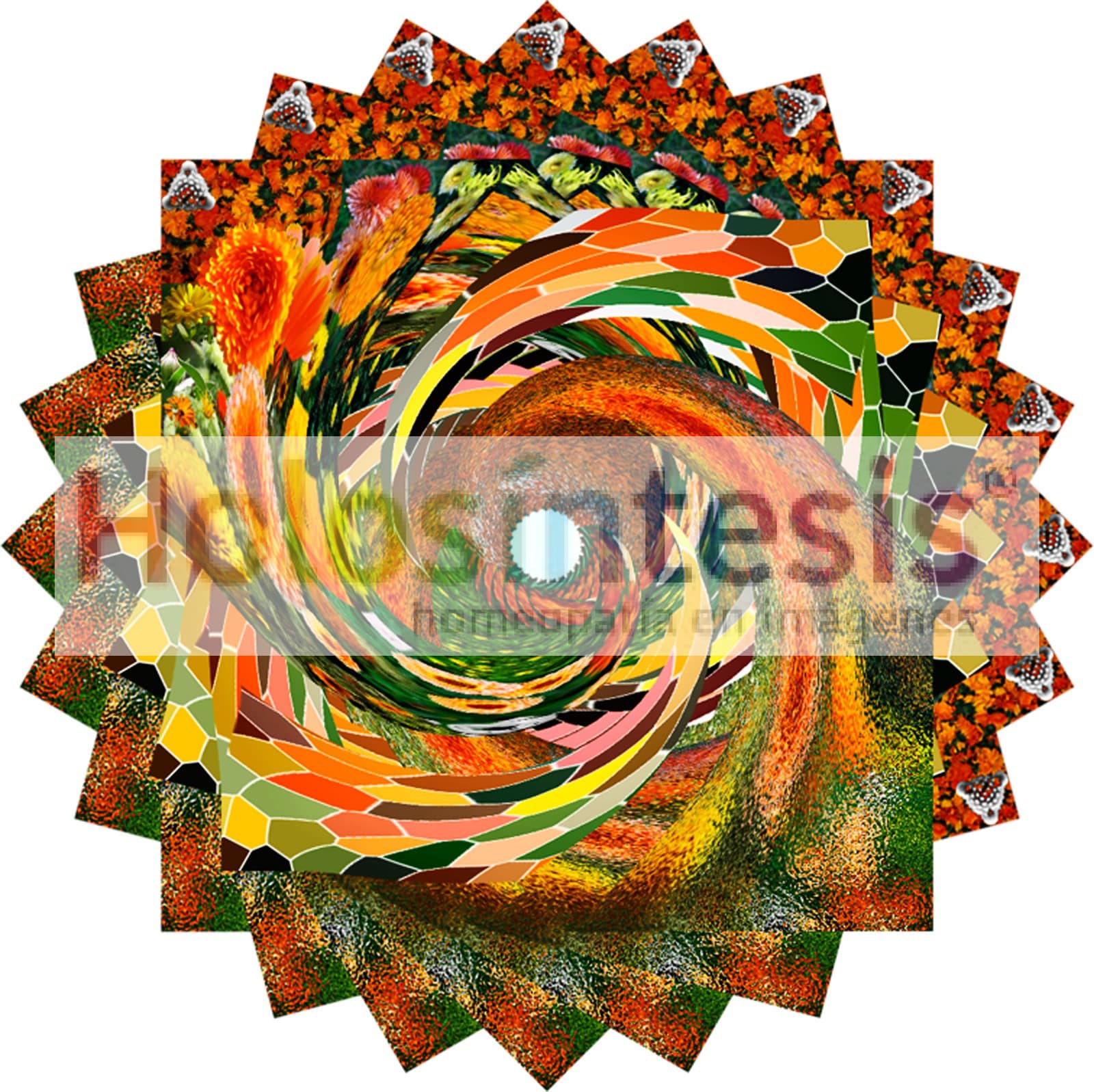 22 fv Calendula off 00 600ppi