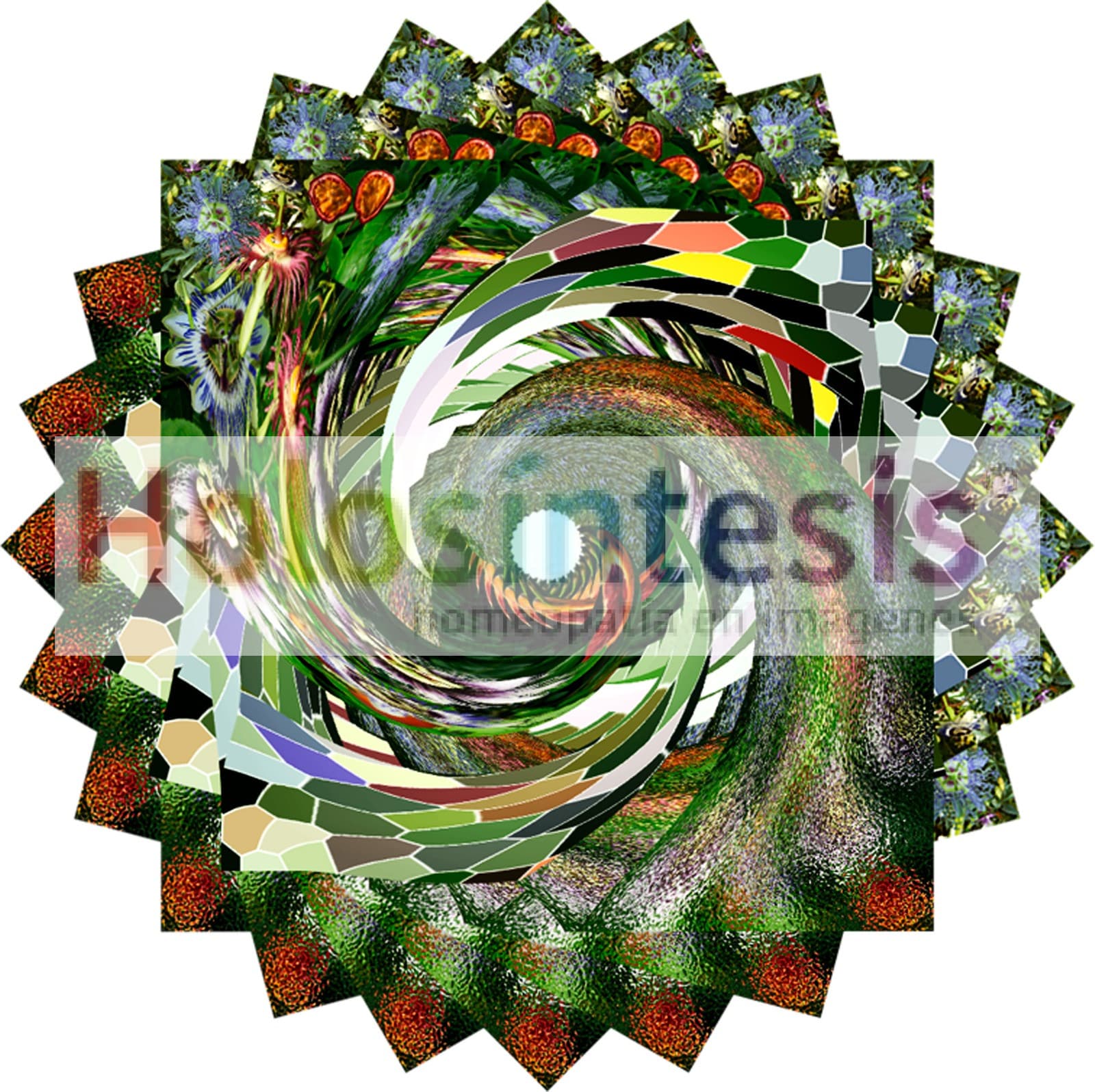 30 fv Passiflora 00 600ppi Passiflora