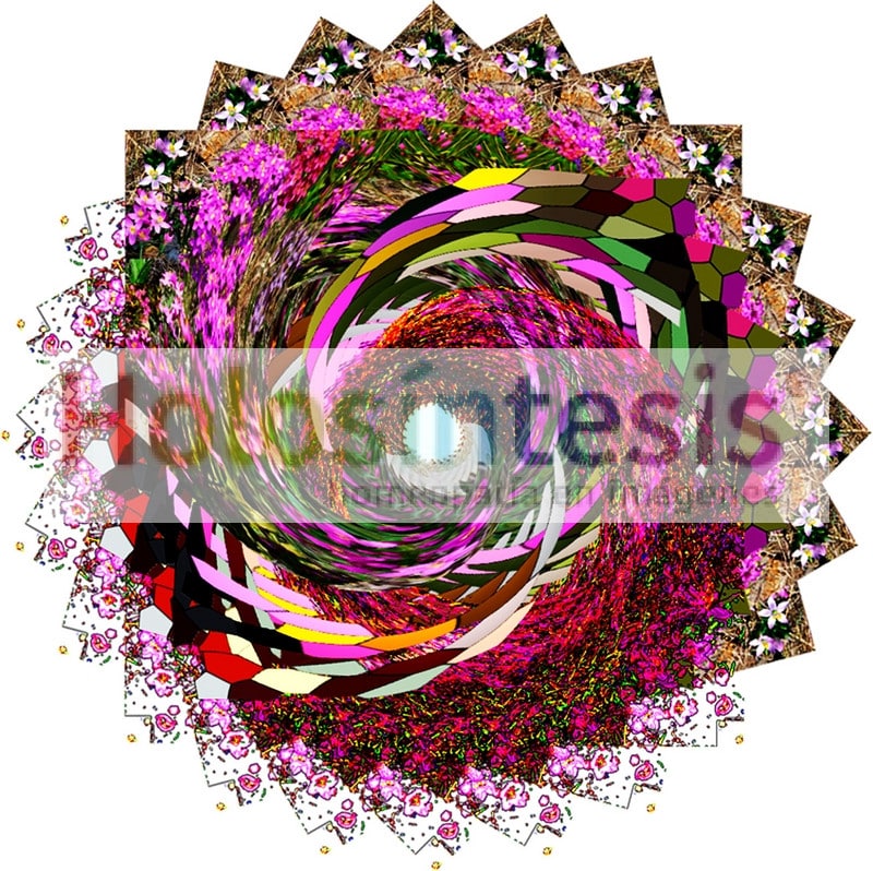 Flores de Bach Centaura