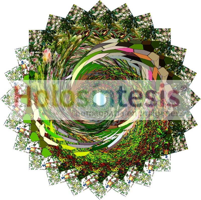 fB Chestnud Bud - brote de Castanyo brote de Castaño de indias