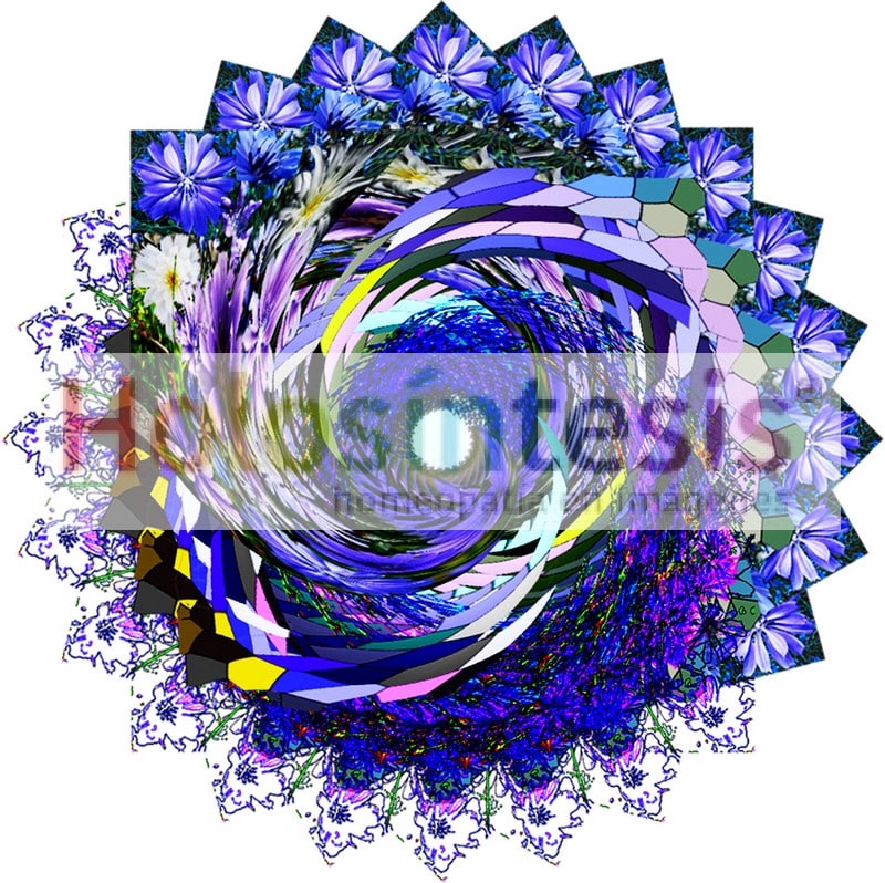 Flores de Bach Achicoria