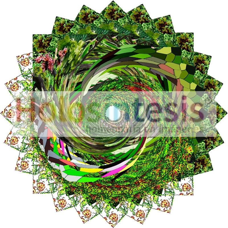 fB Elm - Olmo Flores de Bach - Olmo