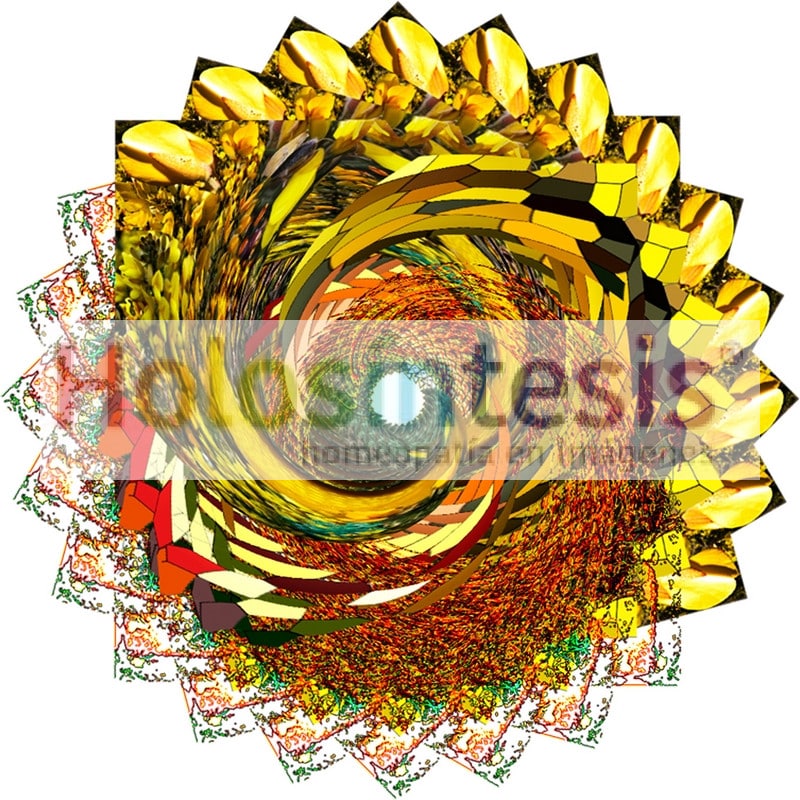 Flores de Bach Aulaga