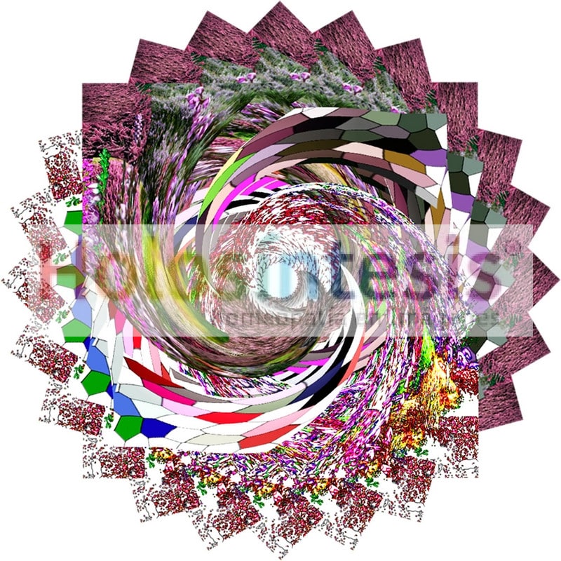 Flores de Bach - Brezo