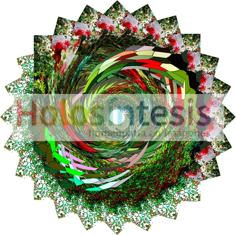 Flores de Bach Acebo