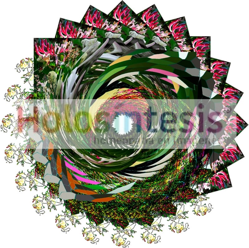 Flores de Bach Madreselva