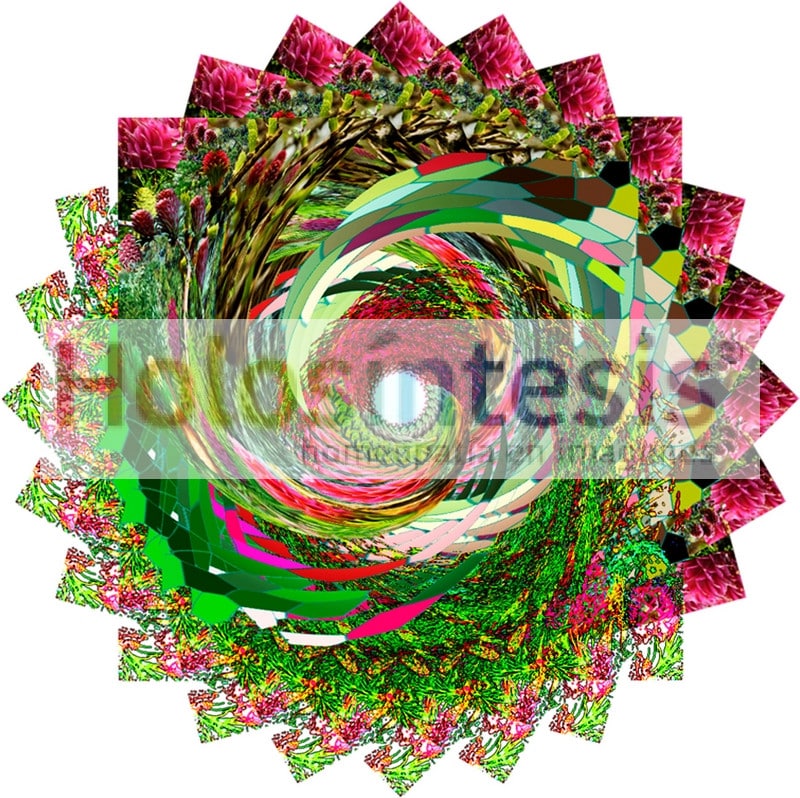 Flores de Bach - Alerce