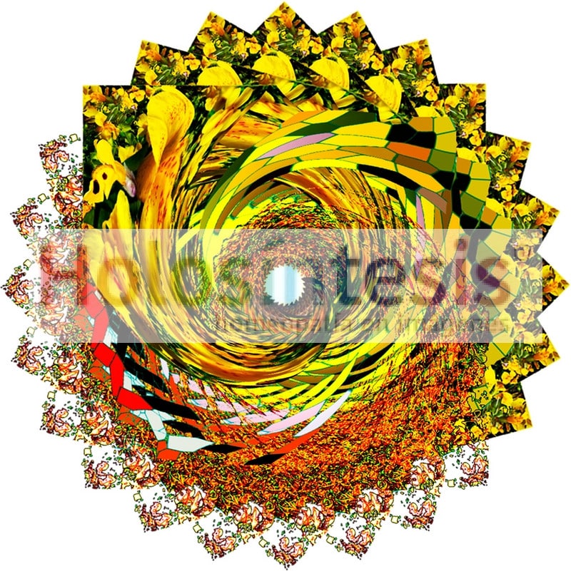 fB Mimulus - Mimulo Flores de Bach - Mímulo