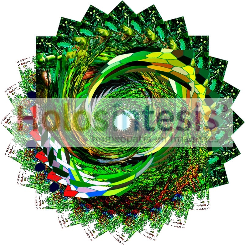 fB Oak - Roble Flores de Bach - Roble