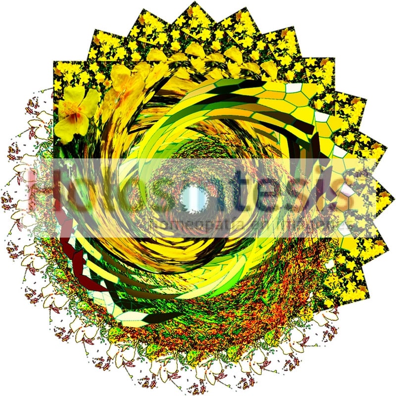 Flores de Bach Heliantemo