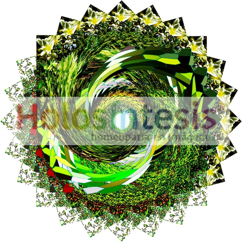 Flores de Bach Escleranto