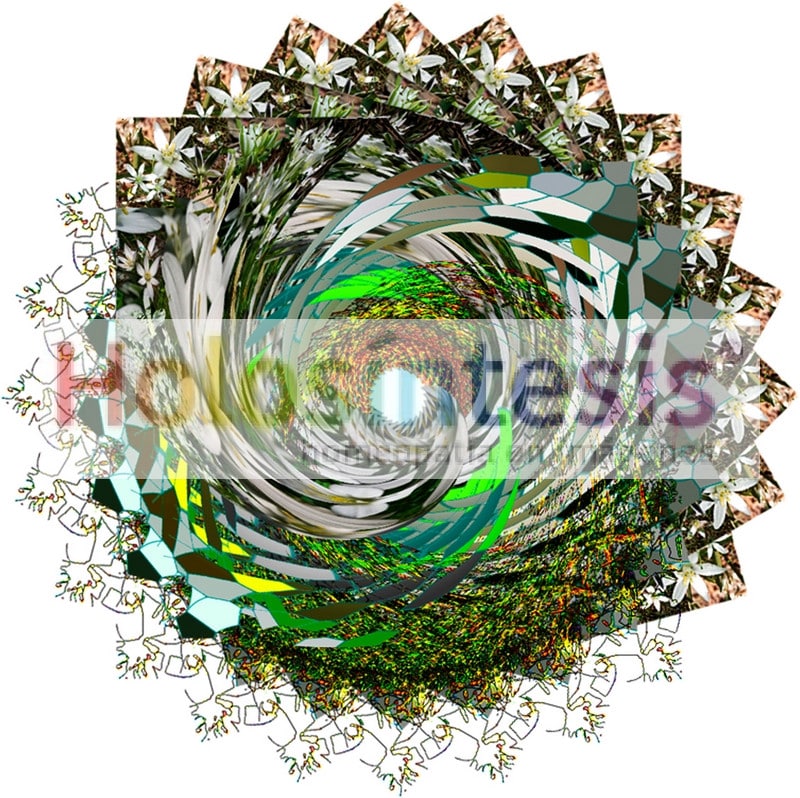 Flores de Bach Estrella de Belen