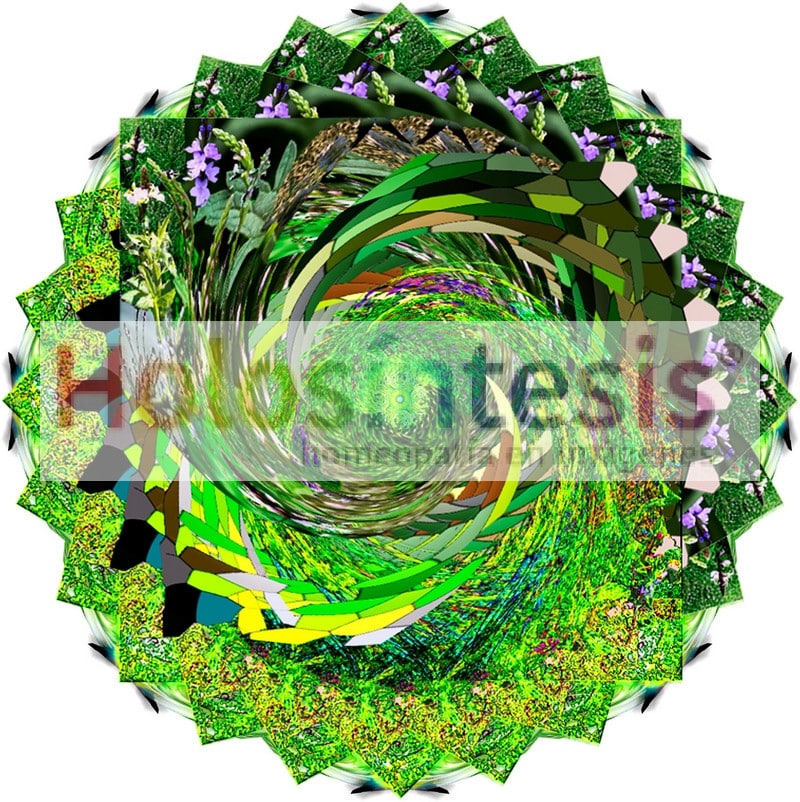 fB Vervain - Verbena off Flores de Bach Verbena