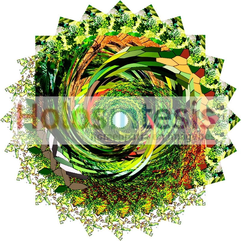 fB Vine - Vid Flores de Bach Vid