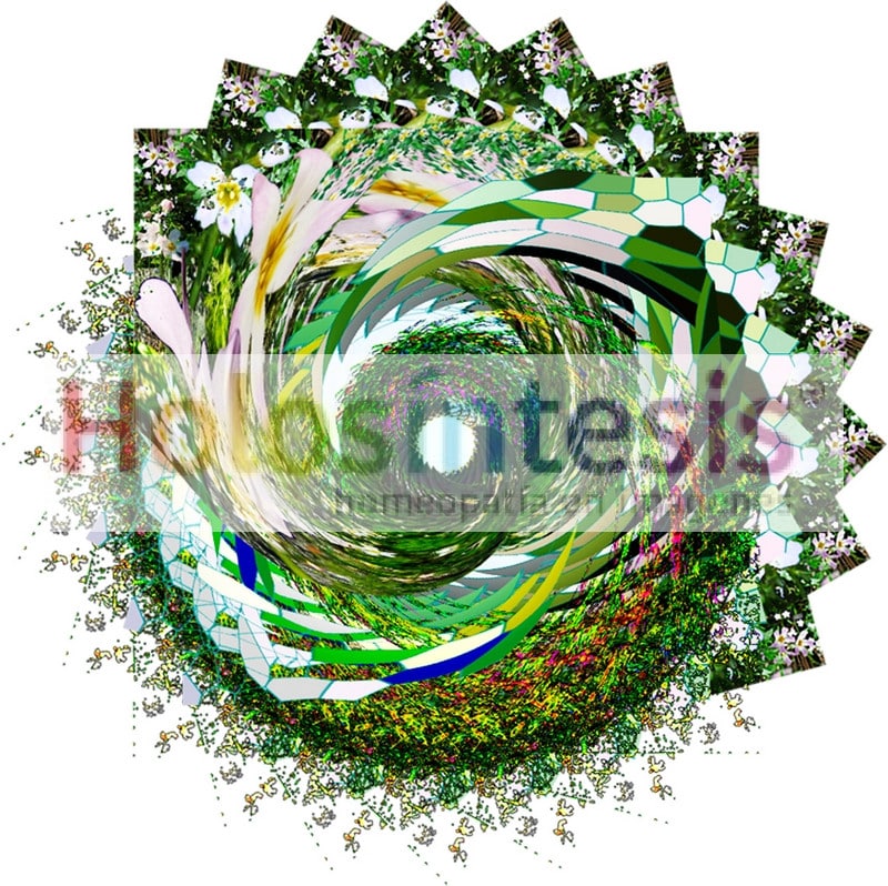 Flores de Bach Violeta de Agua