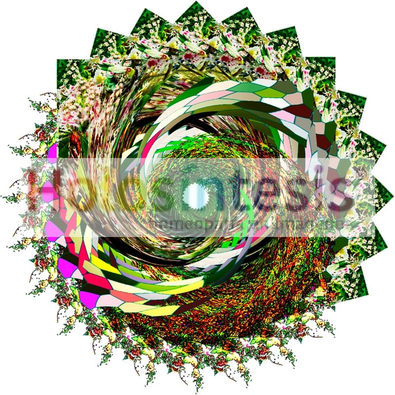 fB White Chestnut - Castano de Indias Flores de Bach - castaño de Indias