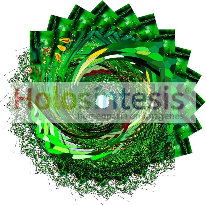 Flores de Bach Avena Silvestre