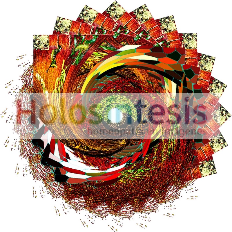 fB Willow - Sauce Flores de Bach Sauce